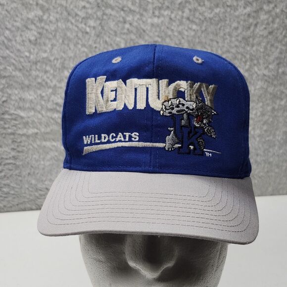 Vintage Kentucky Wildcats Twins Enterprise Hat Snapback Blue Gray Cap - Picture 1 of 12